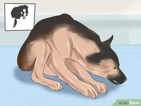 Imagen titulada Treat Anemia in Dogs Step 11