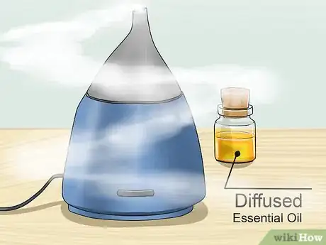 Imagen titulada Calm Your Cat with Aromatherapy Step 15