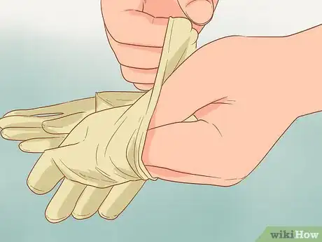 Imagen titulada Catch and Look After Wild Mice Step 4