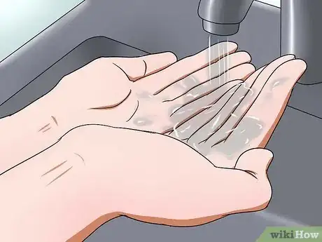 Imagen titulada Help a Constipated Guinea Pig Step 6