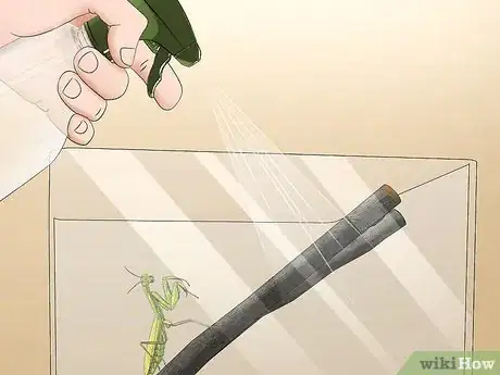Imagen titulada Take Care of a Praying Mantis Step 18