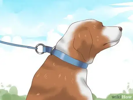 Imagen titulada Stop Dogs from Biting Step 9