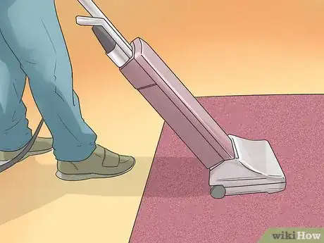 Imagen titulada Reduce New Carpet Odor Step 5