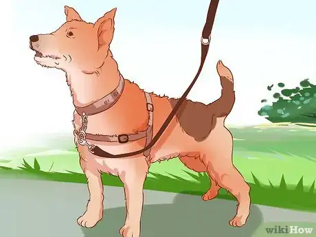 Imagen titulada Stop a Dog from Pulling on Its Leash Step 12