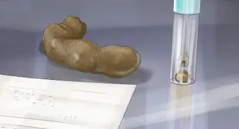 ayudar a tu gata si tuvo un aborto