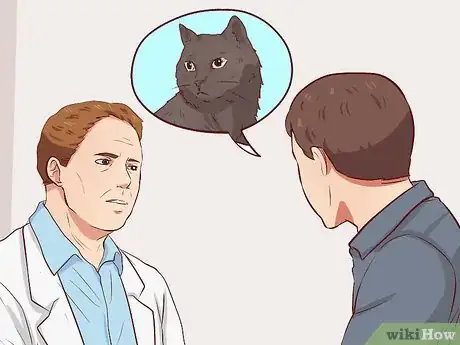 Imagen titulada Catch a Stray Cat Step 5