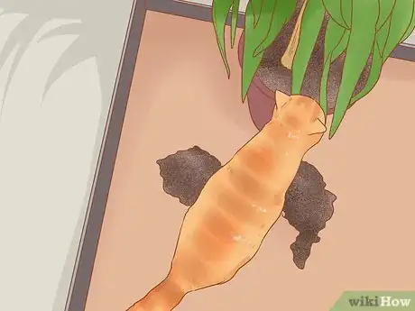 Imagen titulada Prevent Cats from Eating Plants Step 8