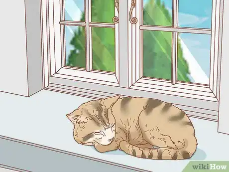 Imagen titulada Prevent Worms in Cats Step 10