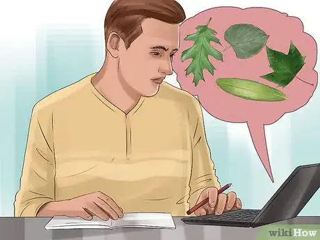 Imagen titulada Identify Trees by Leaves Step 9