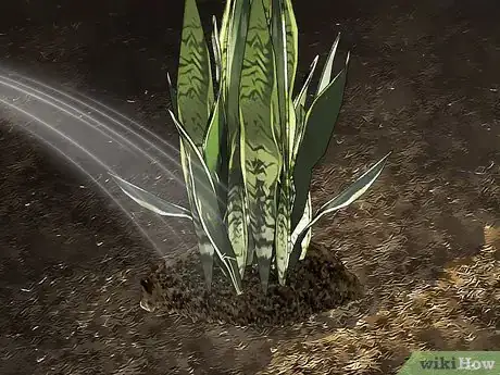 Imagen titulada Transplant a Plant Step 20