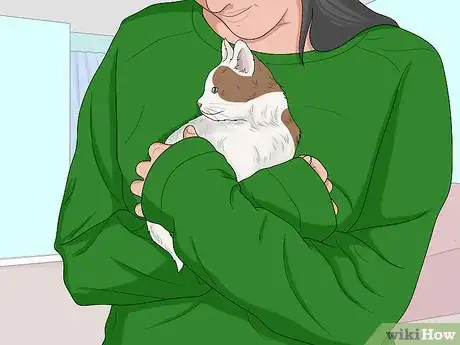 Imagen titulada Bathe a Kitten Step 17
