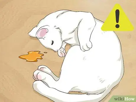Imagen titulada Get Motor Oil Off a Cat Step 1
