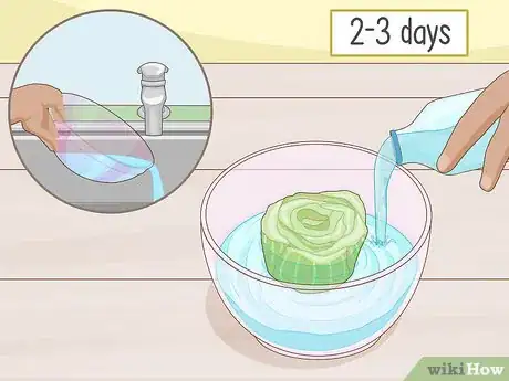 Imagen titulada Grow Celery from a Stalk Step 4