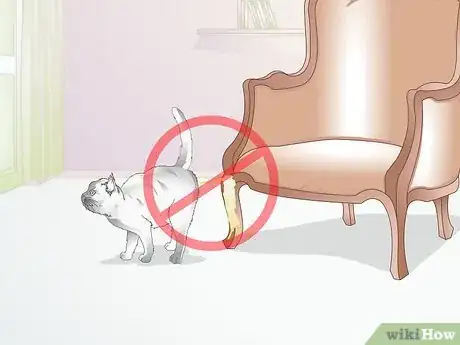 Imagen titulada Castrate a Cat Step 12