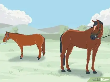 Imagen titulada Tie up a Horse Step 8