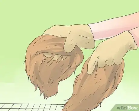 Imagen titulada Care for Mini Lop Rabbits Step 2