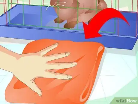 Imagen titulada Make Your Bunny Come to You when You Open the Cage Step 3