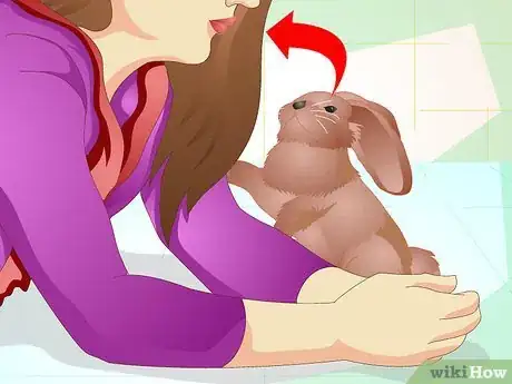 Imagen titulada Make Your Bunny Come to You when You Open the Cage Step 8