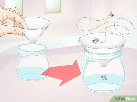 Imagen titulada Keep Flies out of an Indoor Pet Cage Step 11