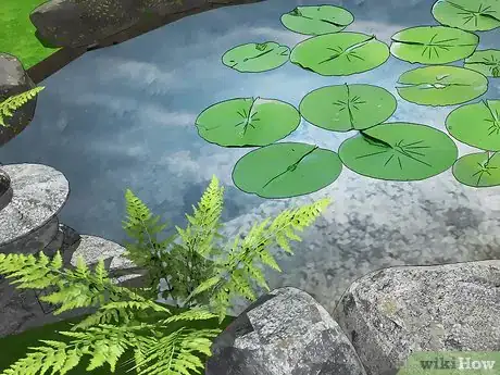 Imagen titulada Get Rid of Algae in Ponds Step 1