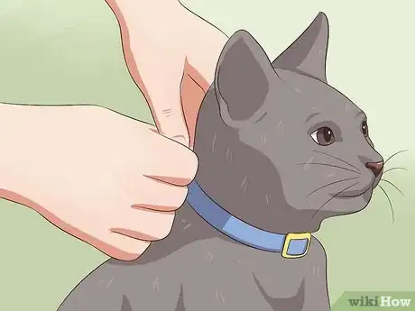 Imagen titulada Deactivate Your Cat Step 2