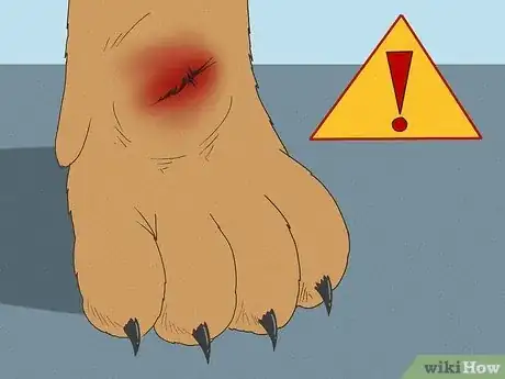 Imagen titulada Wrap a Dog Paw Step 11