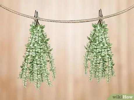 Imagen titulada Prune Thyme Step 9