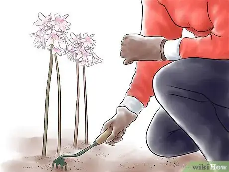 Imagen titulada Get Rid of Rabbits Step 4