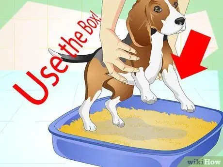 Imagen titulada Litter Train a Dog Step 7