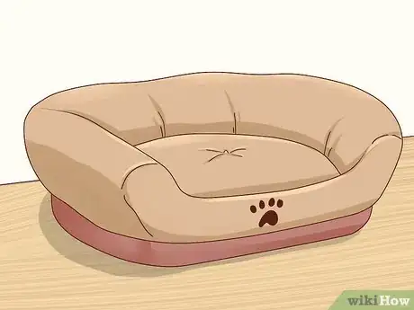 Imagen titulada Keep Pets off the Furniture Step 1