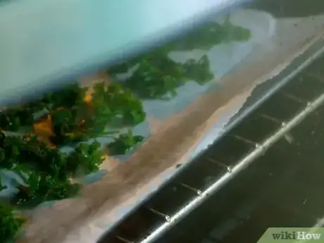 Imagen titulada Dry Parsley Step 4