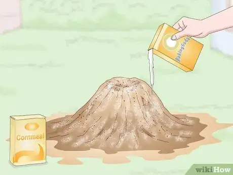 Imagen titulada Get Rid of an Ant Hill Step 6