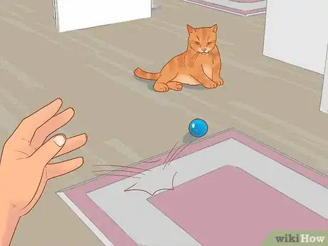 Imagen titulada Prevent Cats from Eating Plants Step 9