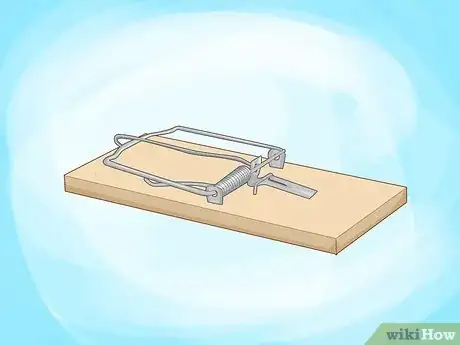 Imagen titulada Humanely Kill a Rodent Step 9