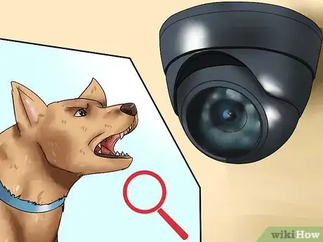 Imagen titulada Train Dogs Not to Bark Step 7