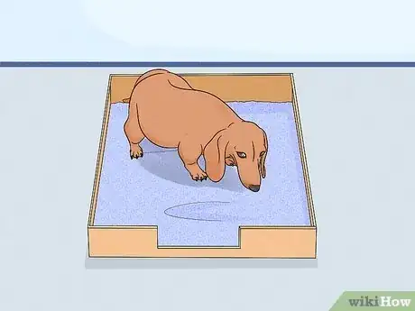 Imagen titulada Care for Newborn Puppies Step 8