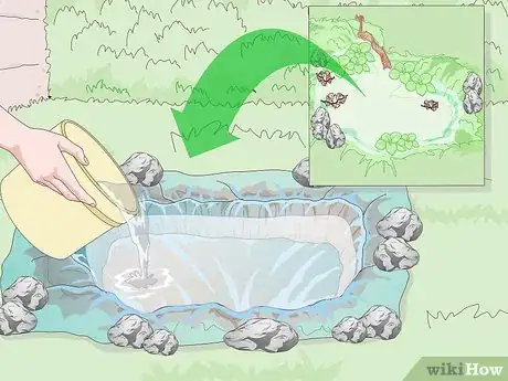 Imagen titulada Attract Frogs Step 10