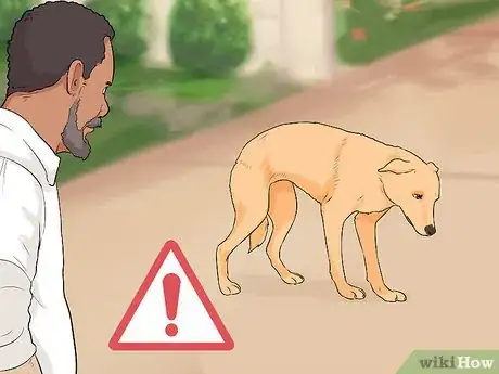 Imagen titulada Tell if a Dog Is Going to Attack Step 10