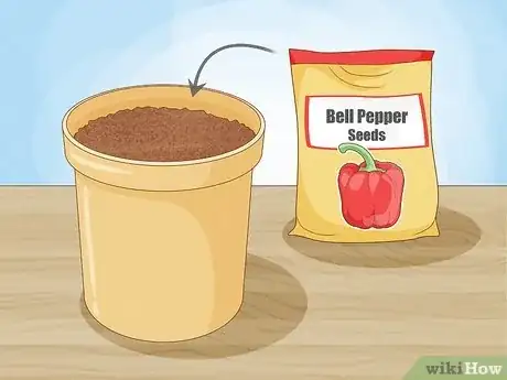 Imagen titulada Grow Bell Peppers Step 1