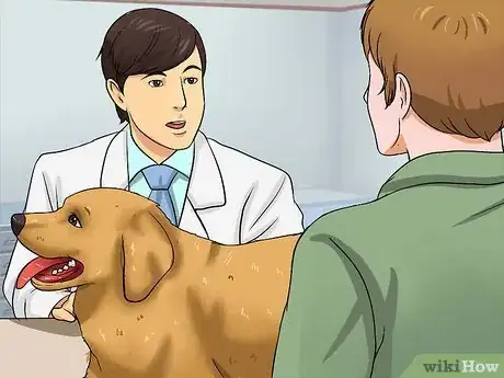 Imagen titulada Help Your Dog Lose Weight Step 4