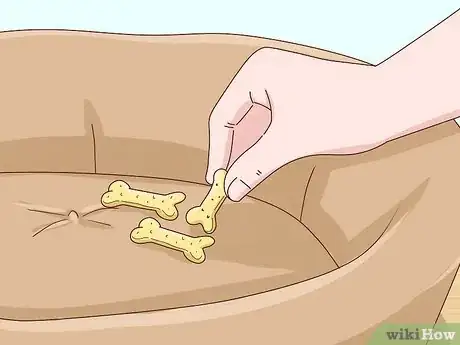 Imagen titulada Keep Pets off the Furniture Step 4