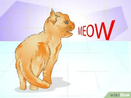 Imagen titulada Tell if a Cat Is Spayed Step 9