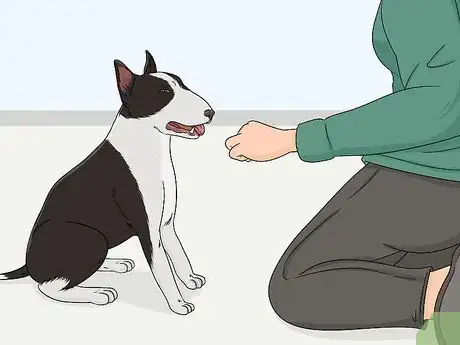 Imagen titulada Check Your Dog's Eyes Step 2