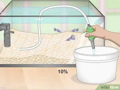Imagen titulada Lower Your Nitrate_Nitrite Levels in Your Fish Tank Step 5