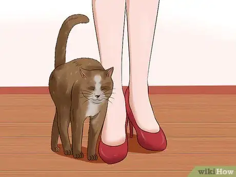 Imagen titulada Deal With a Female Cat in Heat Step 3