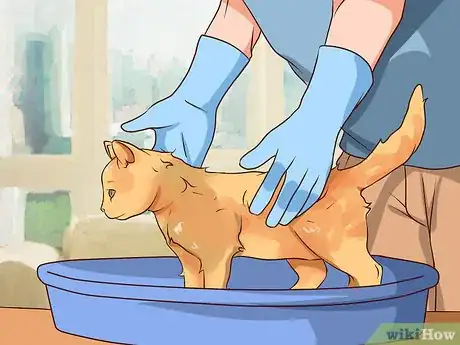 Imagen titulada Prevent Cat Allergies Step 12