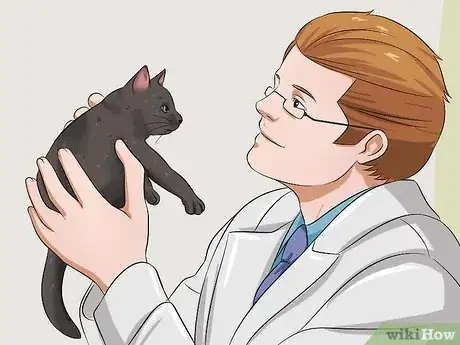 Imagen titulada Raise a Kitten Step 13