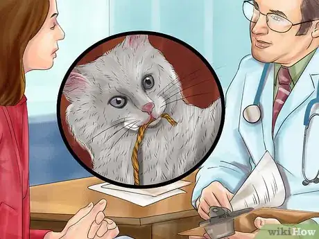 Imagen titulada Help a Cat That Swallowed String Step 1