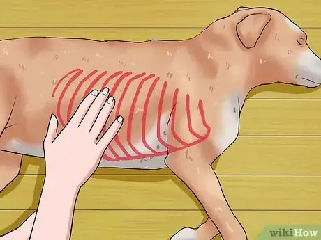 Imagen titulada Help Your Dog Lose Weight Step 2