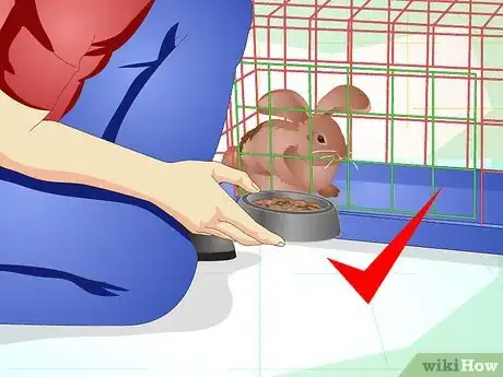 Imagen titulada Make Your Bunny Come to You when You Open the Cage Step 2